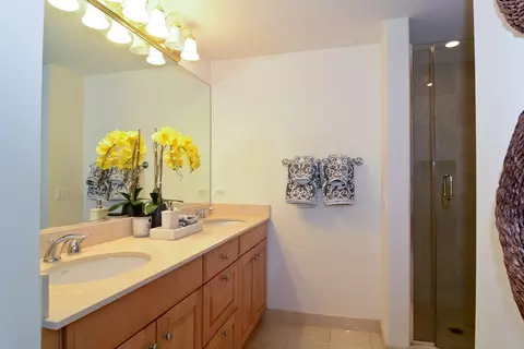 21 E Huron St #1103, Chicago, IL 60611 photo 30