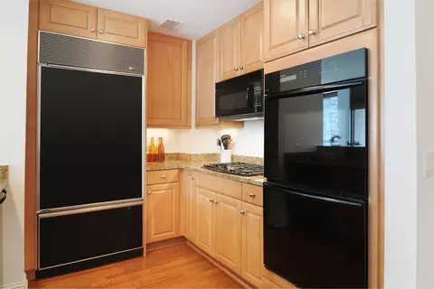 21 E Huron St #1103, Chicago, IL 60611 photo 7