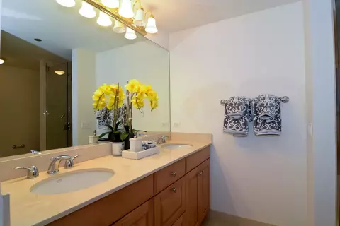 21 E Huron St #1103, Chicago, IL 60611 photo 16