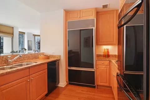 21 E Huron St #1103, Chicago, IL 60611 photo 6