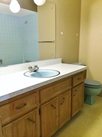 1023 Logan Ave, Belvidere, IL 61008 photo 9
