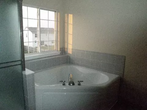 708 Brita Trl, Minooka, IL 60447 photo 11