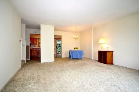 683 W Wrightwood Ave, Addison, IL 60101 photo 6