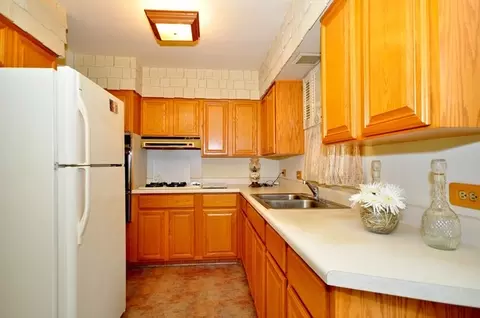 683 W Wrightwood Ave, Addison, IL 60101 photo 9