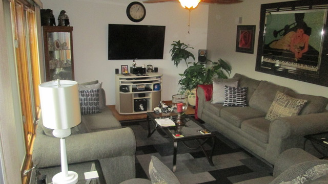 3510 E 170th St, Lansing, IL 60438 photo 6