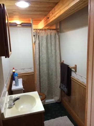 509 W 4th St, Spring Valley, IL 61362 photo 6