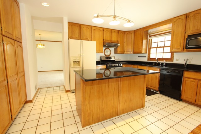 730 E Catalpa St, Addison, IL 60101 photo 6