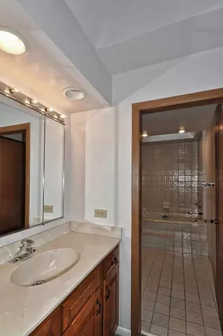 809 Downing St, Northbrook, IL 60062 photo 18