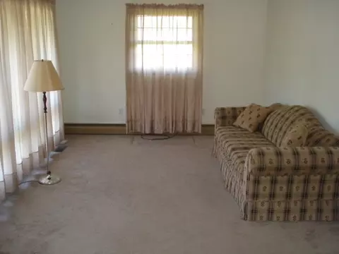 206 Lincoln St, Cherry, IL 61317 photo 6
