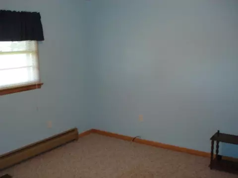 206 Lincoln St, Cherry, IL 61317 photo 11