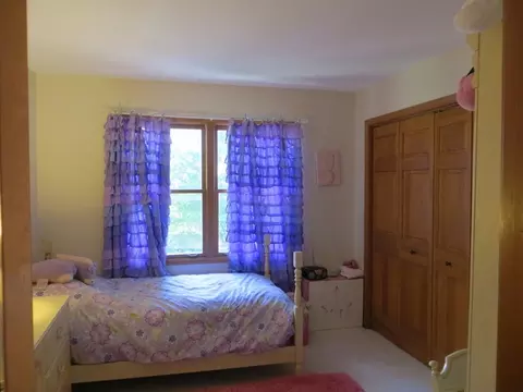 16545 Winding Creek Rd, Plainfield, IL 60586 photo 22