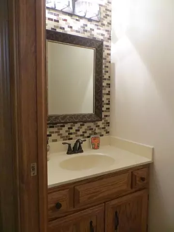 16545 Winding Creek Rd, Plainfield, IL 60586 photo 21