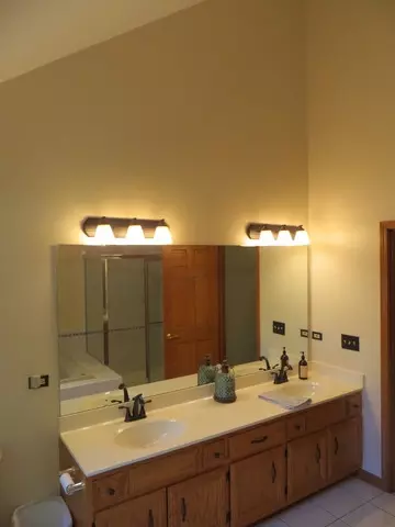 16545 Winding Creek Rd, Plainfield, IL 60586 photo 14