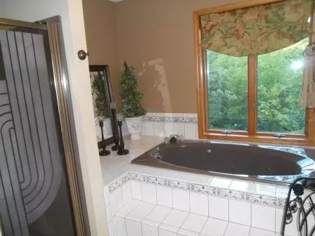 5400 W Bluff Rd, Morris, IL 60450 photo 17