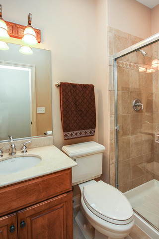 351 Forest Ave, Roselle, IL 60172 photo 16