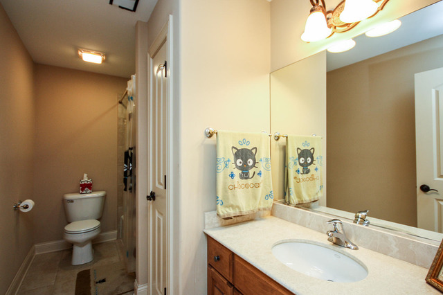 351 Forest Ave, Roselle, IL 60172 photo 22