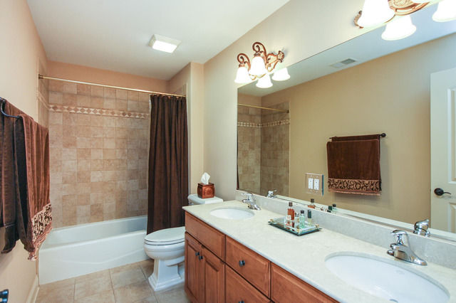 351 Forest Ave, Roselle, IL 60172 photo 19