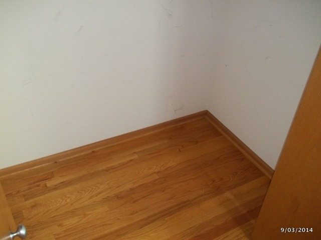 719 E 41st St #3, Chicago, IL 60653 photo 5
