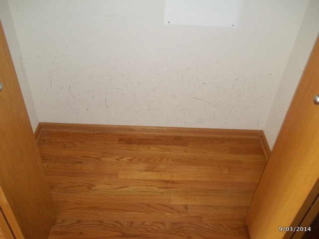 719 E 41st St #3, Chicago, IL 60653 photo 15
