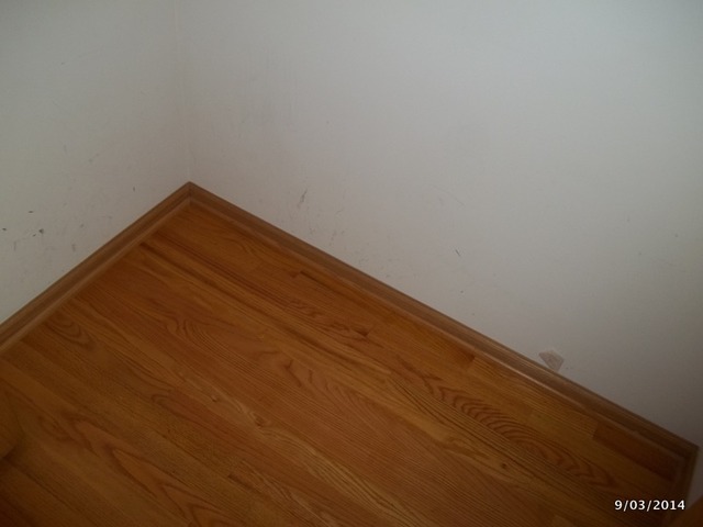 719 E 41st St #3, Chicago, IL 60653 photo 14