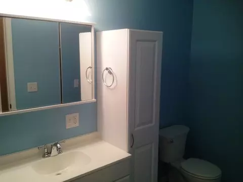 228 W 5th St, Spring Valley, IL 61362 photo 6