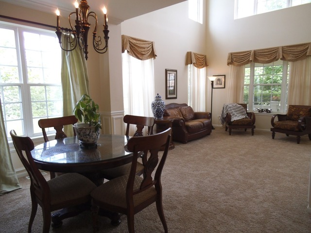 26437 Rustling Birch Way, Plainfield, IL 60585 photo 4