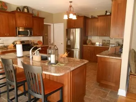 1011 Forest View Dr, Morris, IL 60450 photo 4