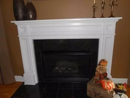 1011 Forest View Dr, Morris, IL 60450 photo 3