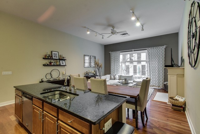 211 E Ohio St #311, Chicago, IL 60611 photo 5