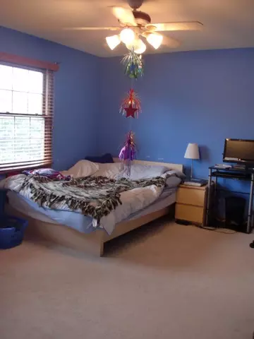 15243 Hamlin St, Plainfield, IL 60544 photo 15