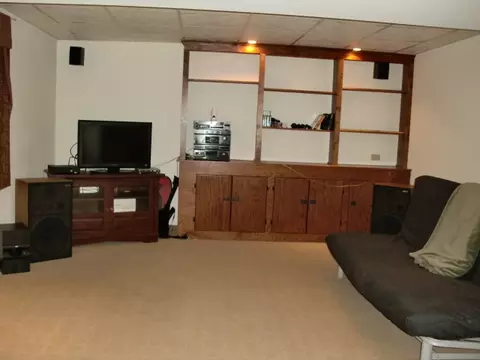 15243 Hamlin St, Plainfield, IL 60544 photo 20