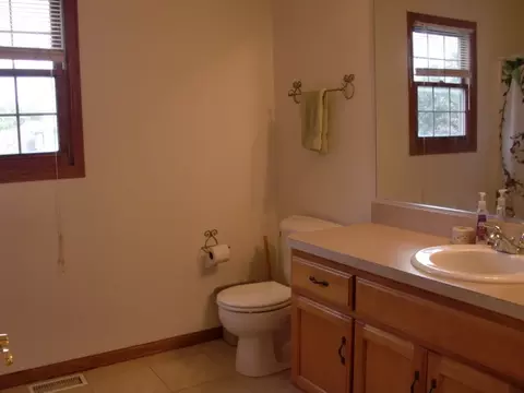 15243 Hamlin St, Plainfield, IL 60544 photo 17