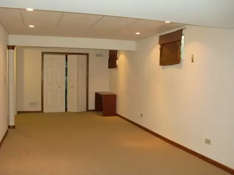 15243 Hamlin St, Plainfield, IL 60544 photo 19