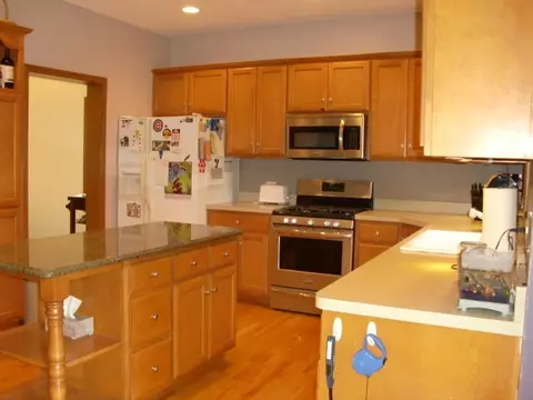 15243 Hamlin St, Plainfield, IL 60544 photo 4