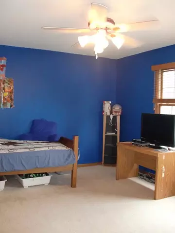 15243 Hamlin St, Plainfield, IL 60544 photo 16