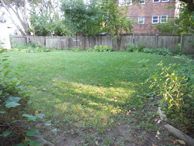 178 E Hale St, Elmhurst, IL 60126 photo 20