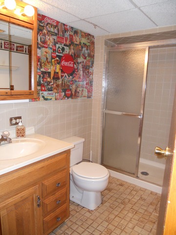 178 E Hale St, Elmhurst, IL 60126 photo 10