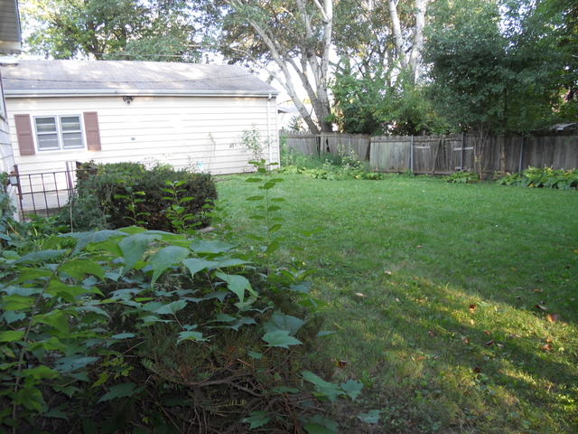 178 E Hale St, Elmhurst, IL 60126 photo 19