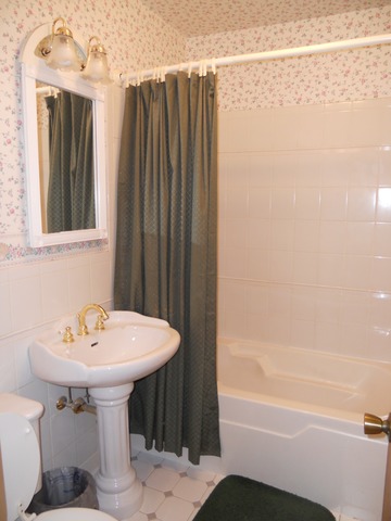178 E Hale St, Elmhurst, IL 60126 photo 9
