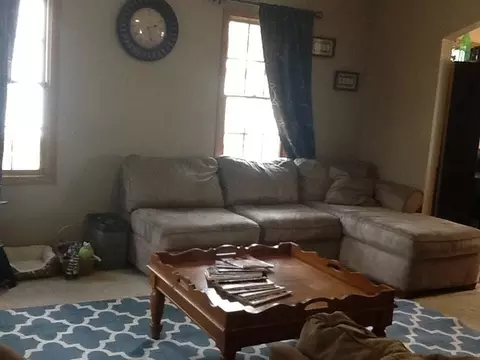 204 E Locust St, La Moille, IL 61330 photo 9