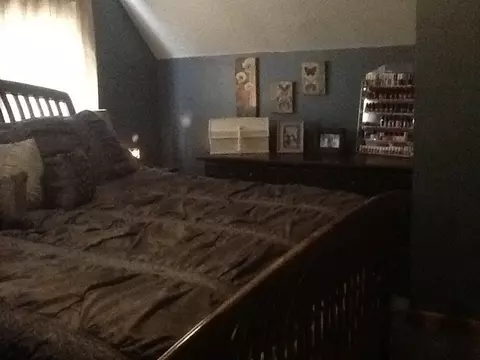 204 E Locust St, La Moille, IL 61330 photo 13
