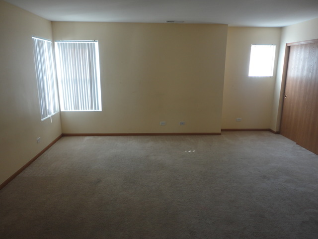 6909 Clearwater Dr, Plainfield, IL 60586 photo 16