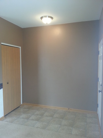 3223 Hoffman St, Plano, IL 60545 photo 3