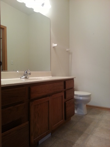 3223 Hoffman St, Plano, IL 60545 photo 9