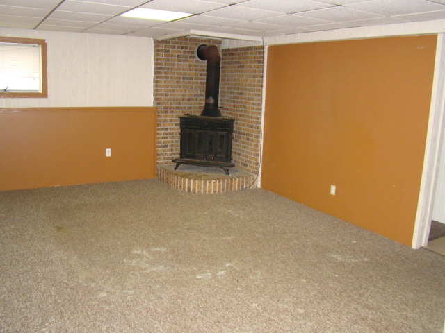203 N Hale Ave, Bartlett, IL 60103 photo 7