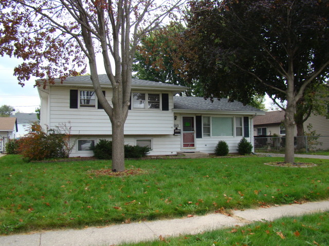 203 N Hale Ave, Bartlett, IL 60103 photo 1