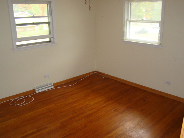 203 N Hale Ave, Bartlett, IL 60103 photo 4