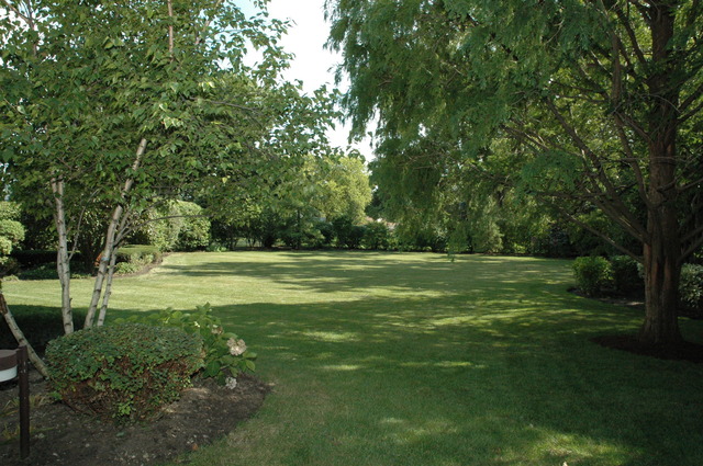 9415 W Central Rd, Des Plaines, IL 60016 photo 25