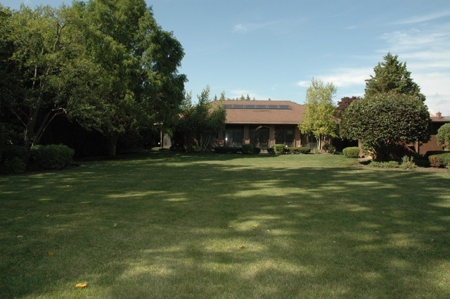 9415 W Central Rd, Des Plaines, IL 60016 photo 24