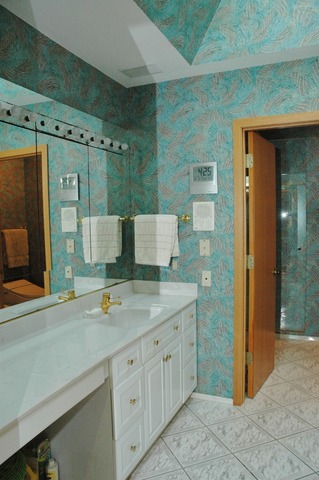 9415 W Central Rd, Des Plaines, IL 60016 photo 15
